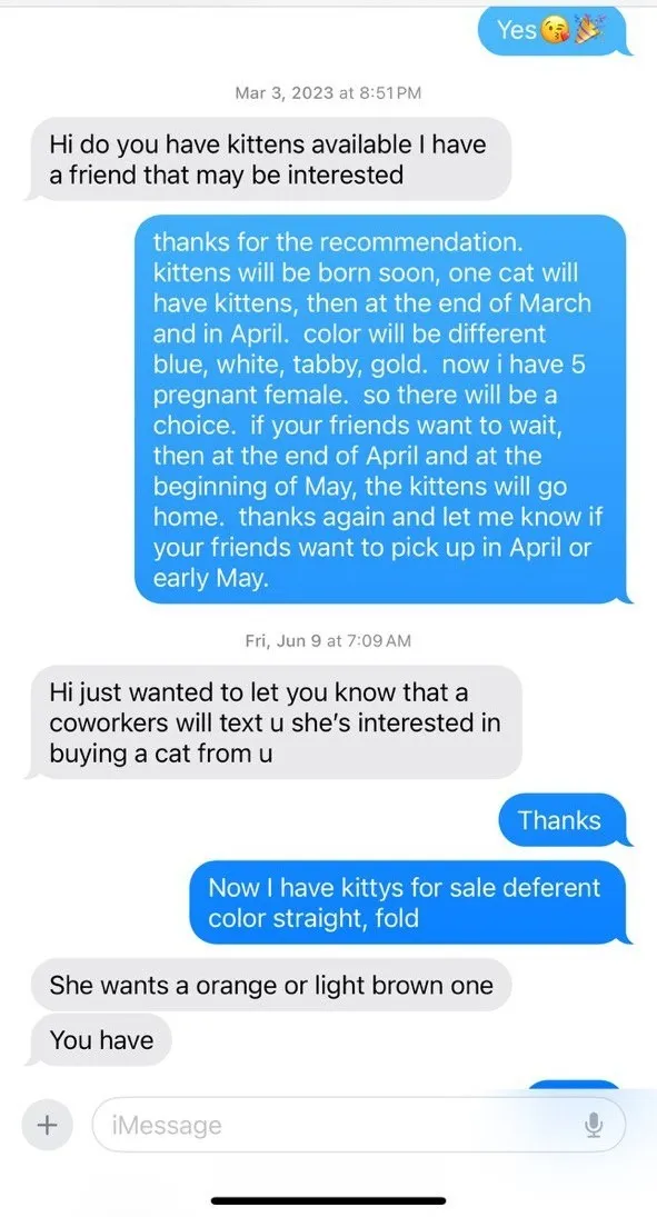 Kitty Palace Cattery - Scottish Kittens For Sale. Customer reviews