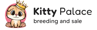 buy scottish kittens in new york, new jersey, pennsylvania, connecticut, maryland, massachusetts, usa