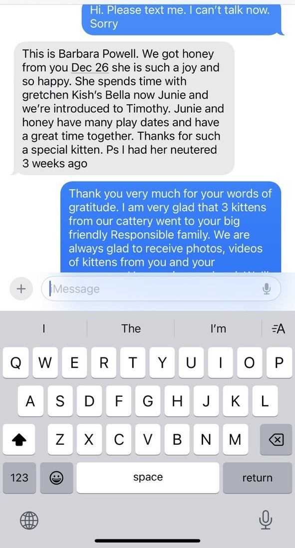 Kitty Palace Cattery - Scottish Kittens For Sale. Customer reviews