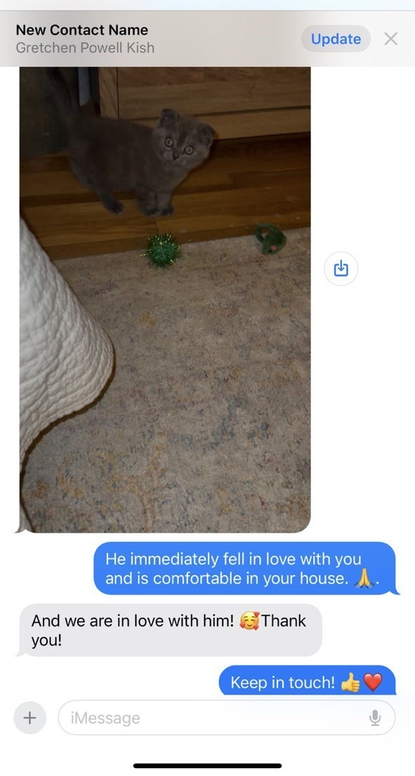 Kitty Palace Cattery - Scottish Kittens For Sale. Customer reviews