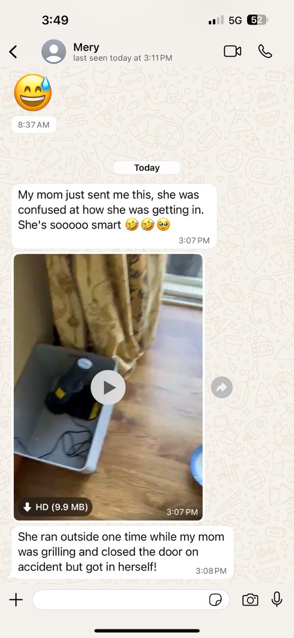 Kitty Palace Cattery - Scottish Kittens For Sale. Customer reviews