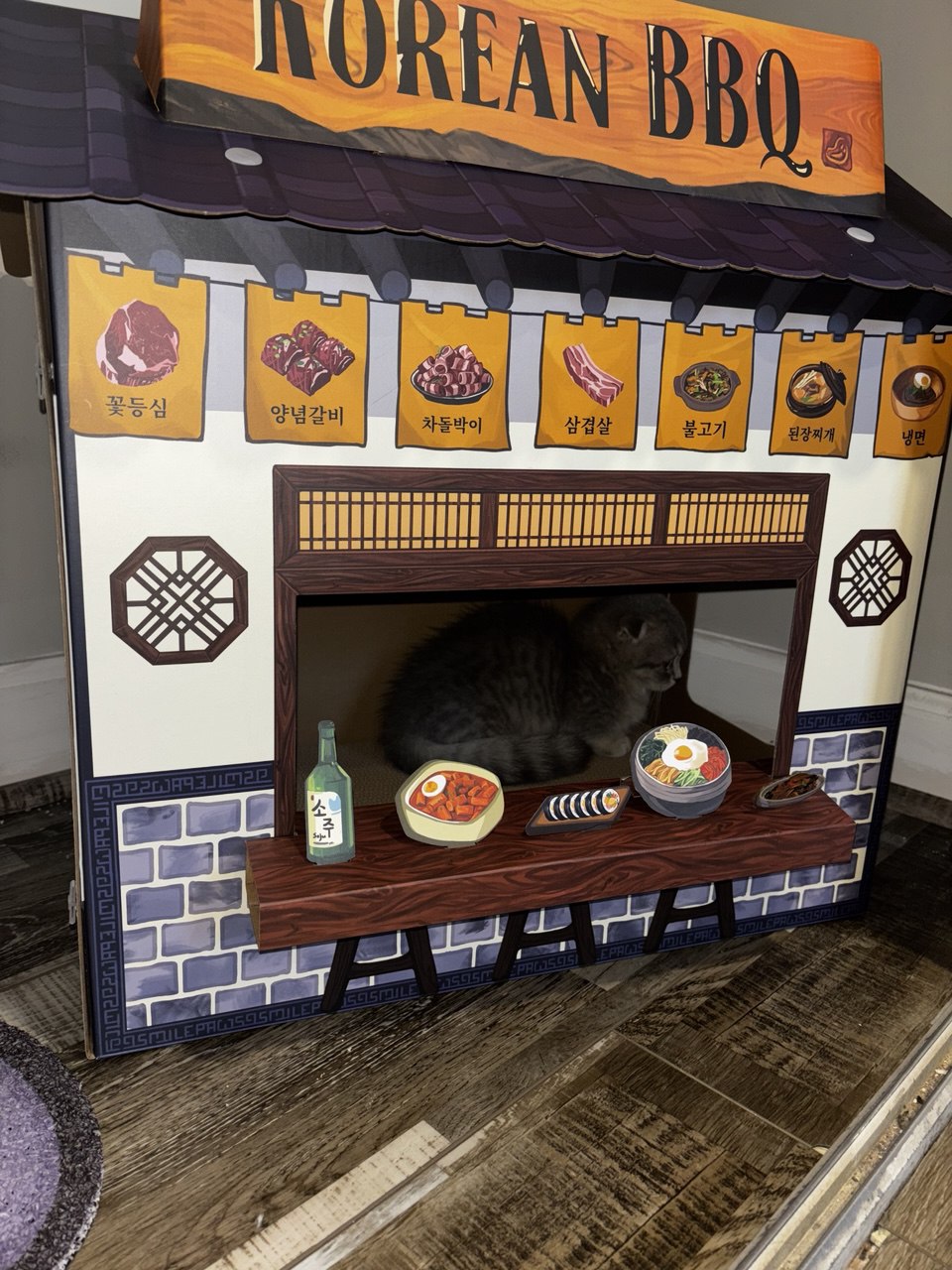 Kitty Palace Cattery - Scottish Kittens For Sale. Customer reviews