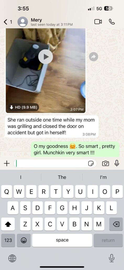 Kitty Palace Cattery - Scottish Kittens For Sale. Customer reviews