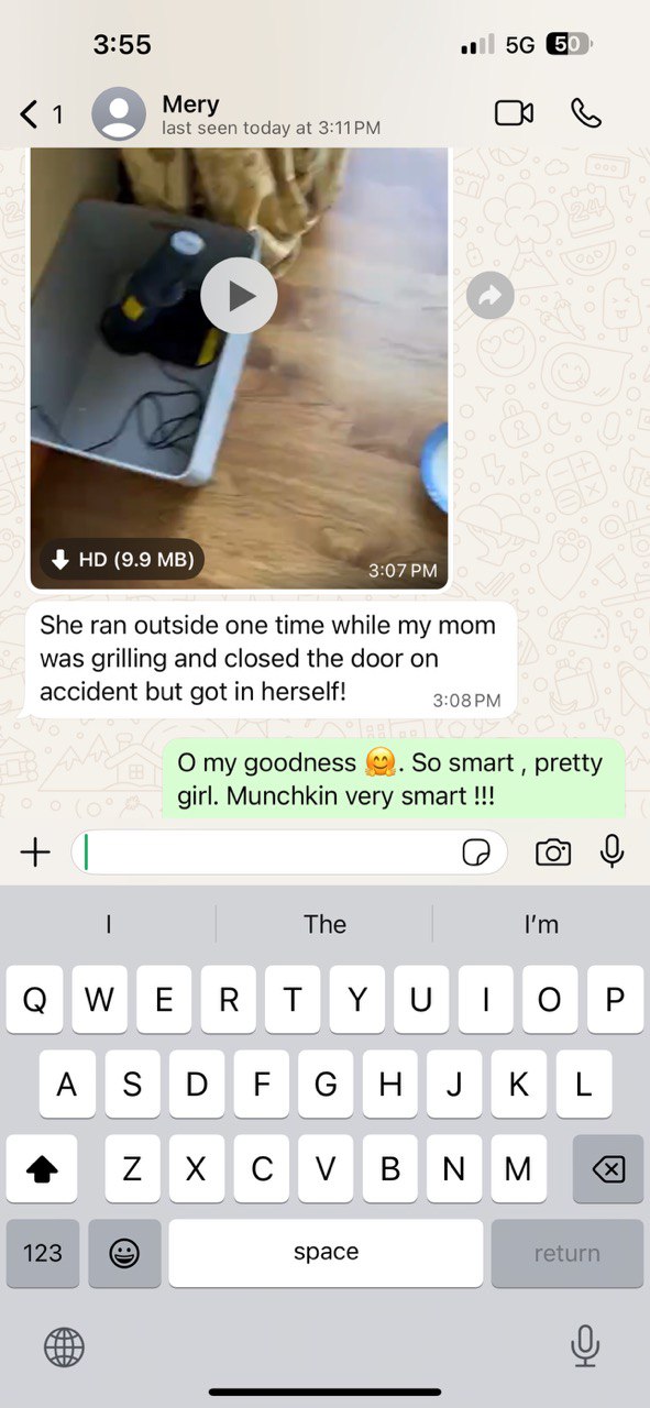 Kitty Palace Cattery - Scottish Kittens For Sale. Customer reviews