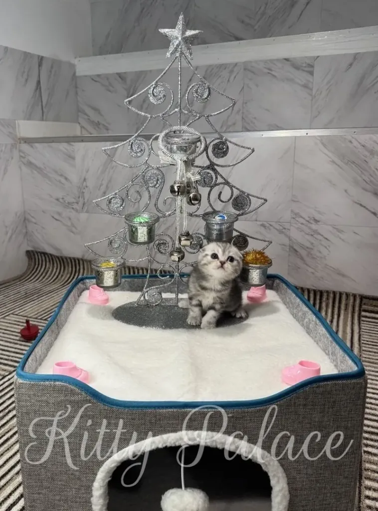 A cute kitten sits beside a silver decorative Christmas tree on a soft white bed, radiating festive charm and cozy holiday vibes