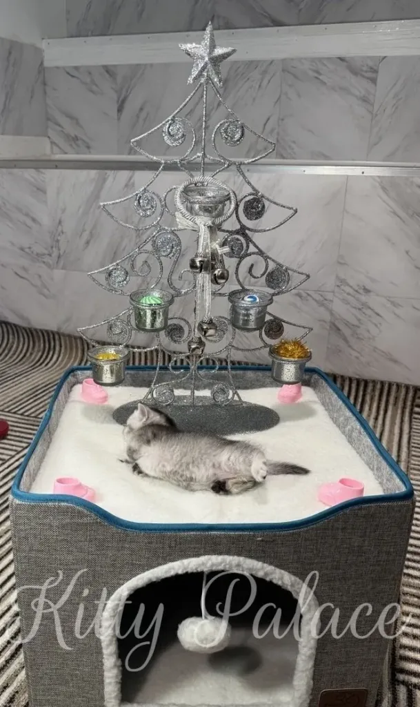 A festive silver wire Christmas tree centerpiece sits atop a soft white base, hosting tiny ornaments as a kitten naps below