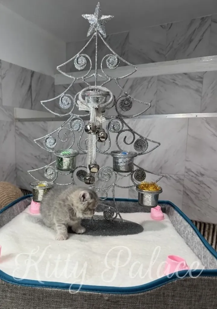 A silver glitter Christmas tree sculpture stands beside a small gray kitten on a snowy play pad