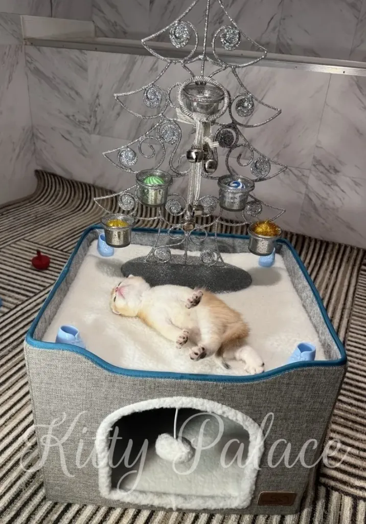 A tiny kitten sleeps peacefully inside a plush cat bed beneath a silver decorative Christmas tree