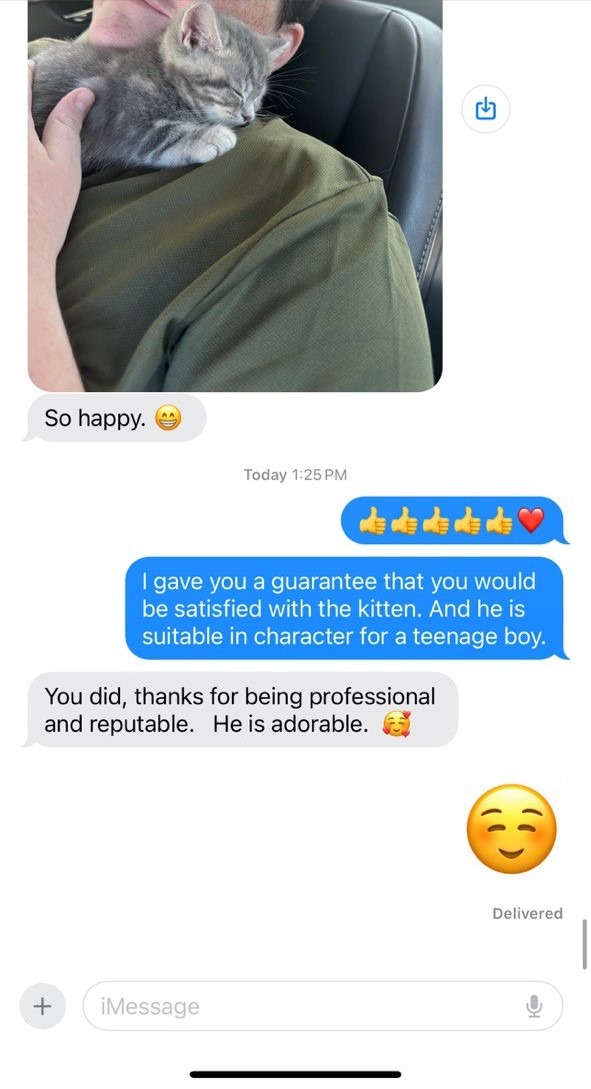 Kitty Palace Cattery - Scottish Kittens For Sale. Customer reviews