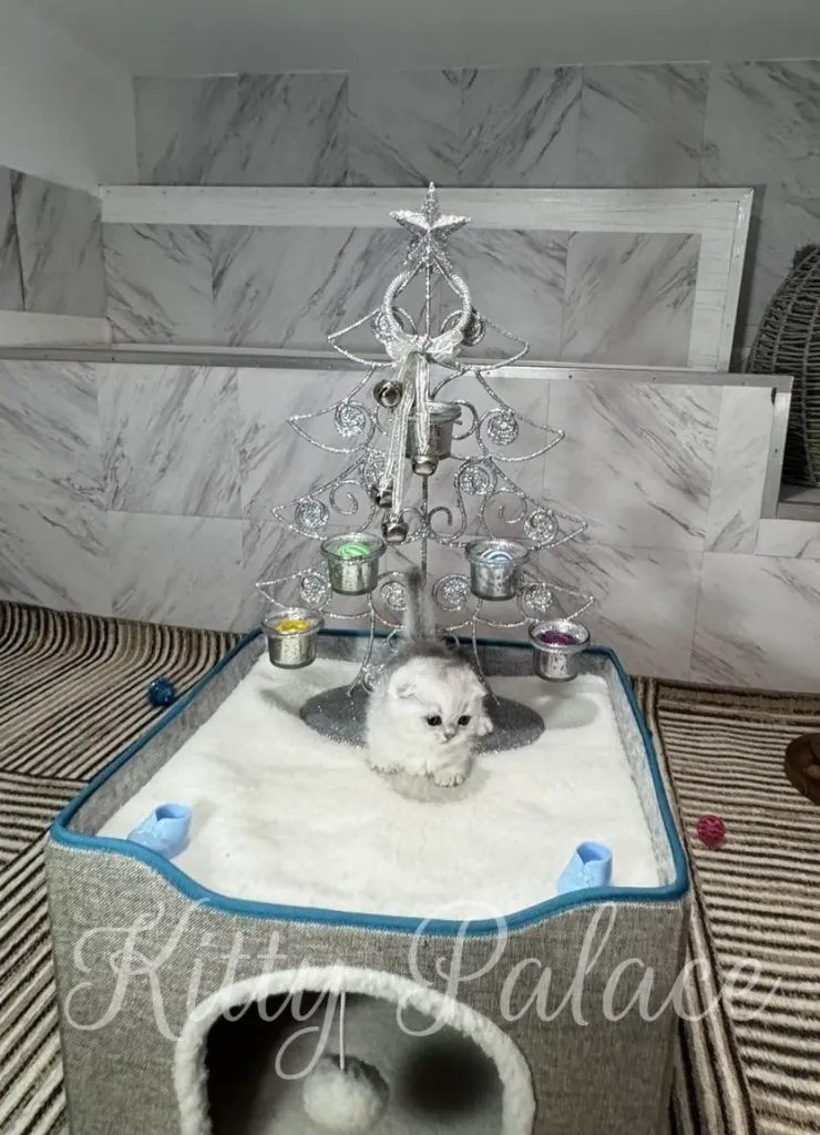 A fluffy white kitten sits on a soft platform in front of a small silver decorative tree with hanging ornaments