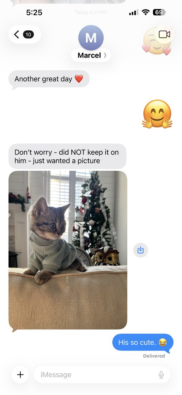 Kitty Palace Cattery - British and Scottish Kittens. Customer reviews