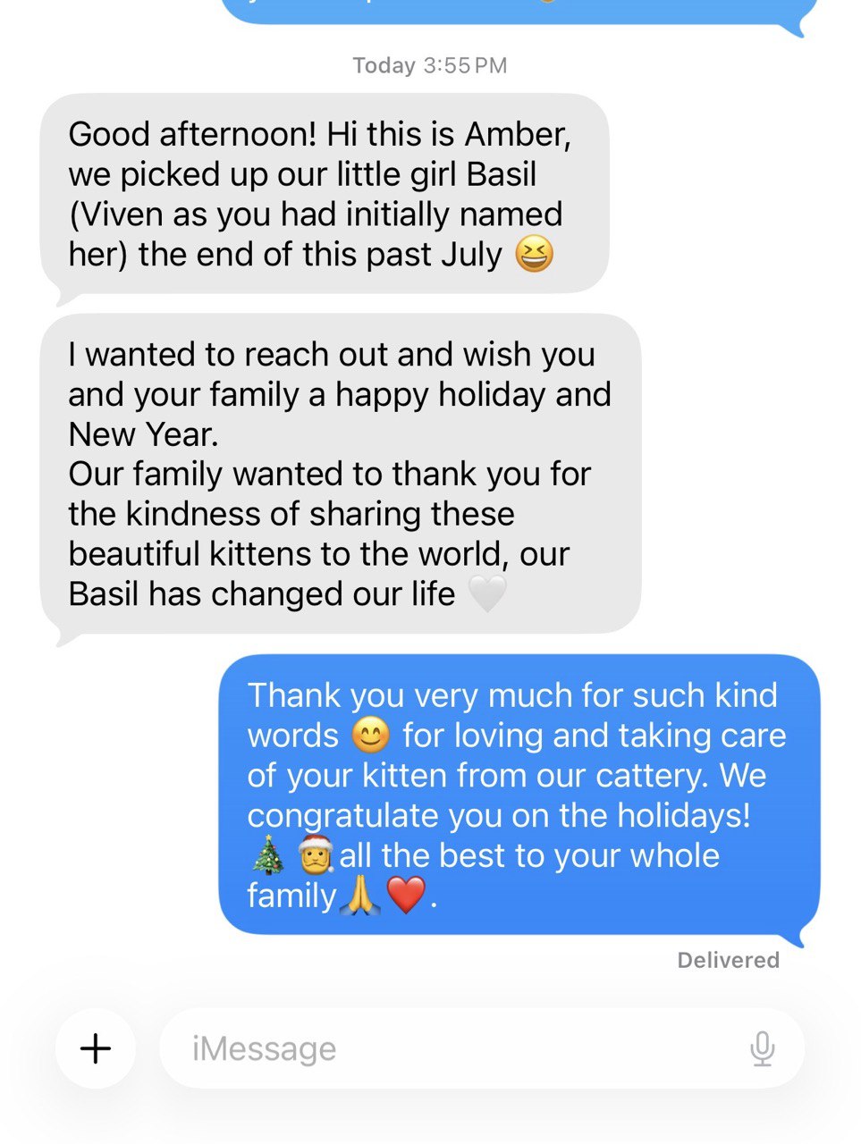 Kitty Palace Cattery - British and Scottish Kittens. Customer reviews