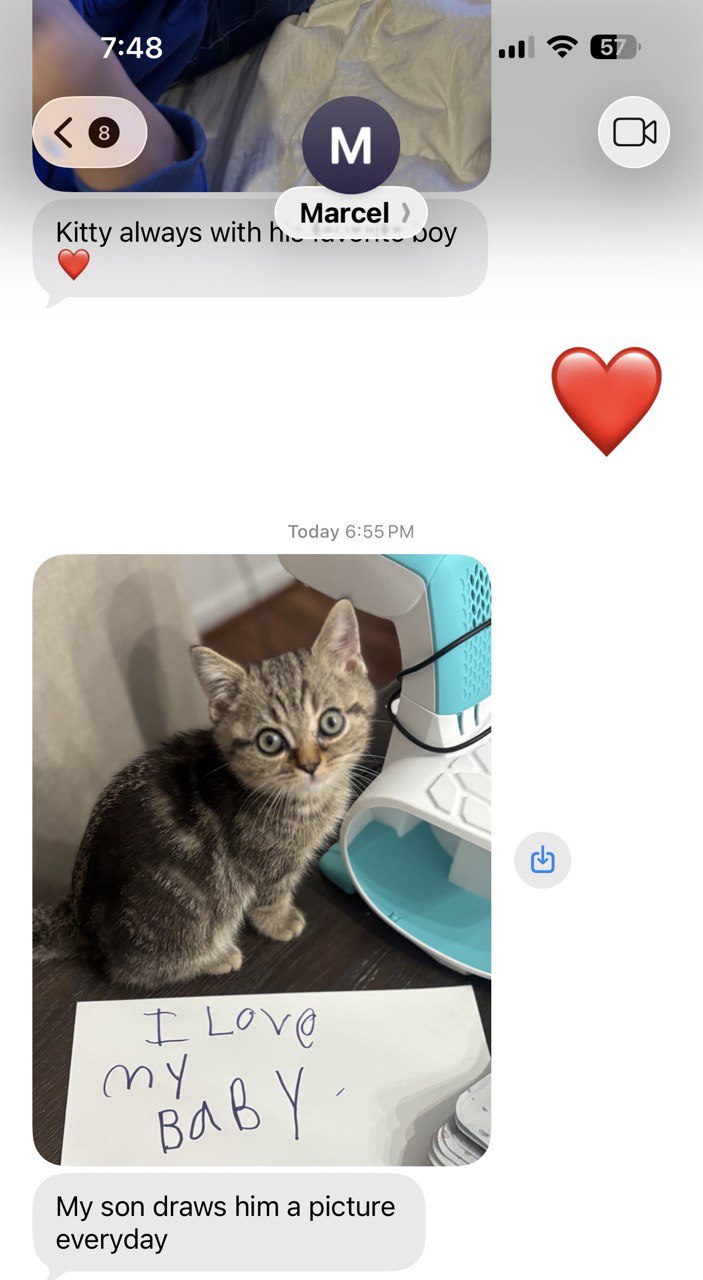 Kitty Palace Cattery - British and Scottish Kittens. Customer reviews. Marcel