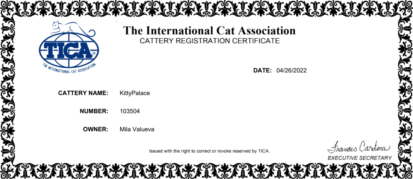 TICA Breeder Listing – Our Cattery Meets the Highest Standards