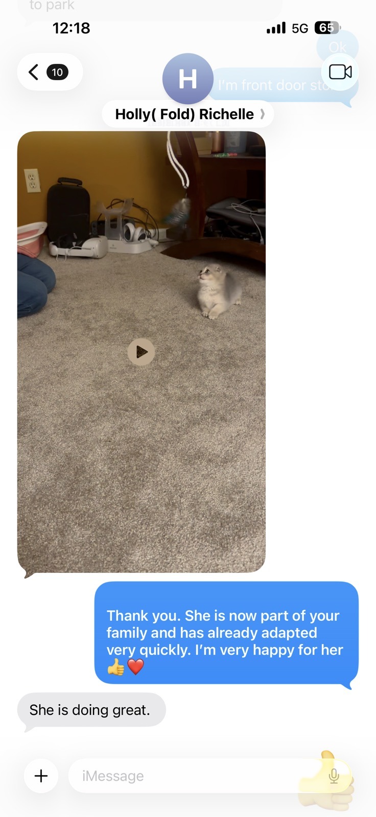 Kitty Palace Cattery - British and Scottish Kittens. Customer reviews. Holly