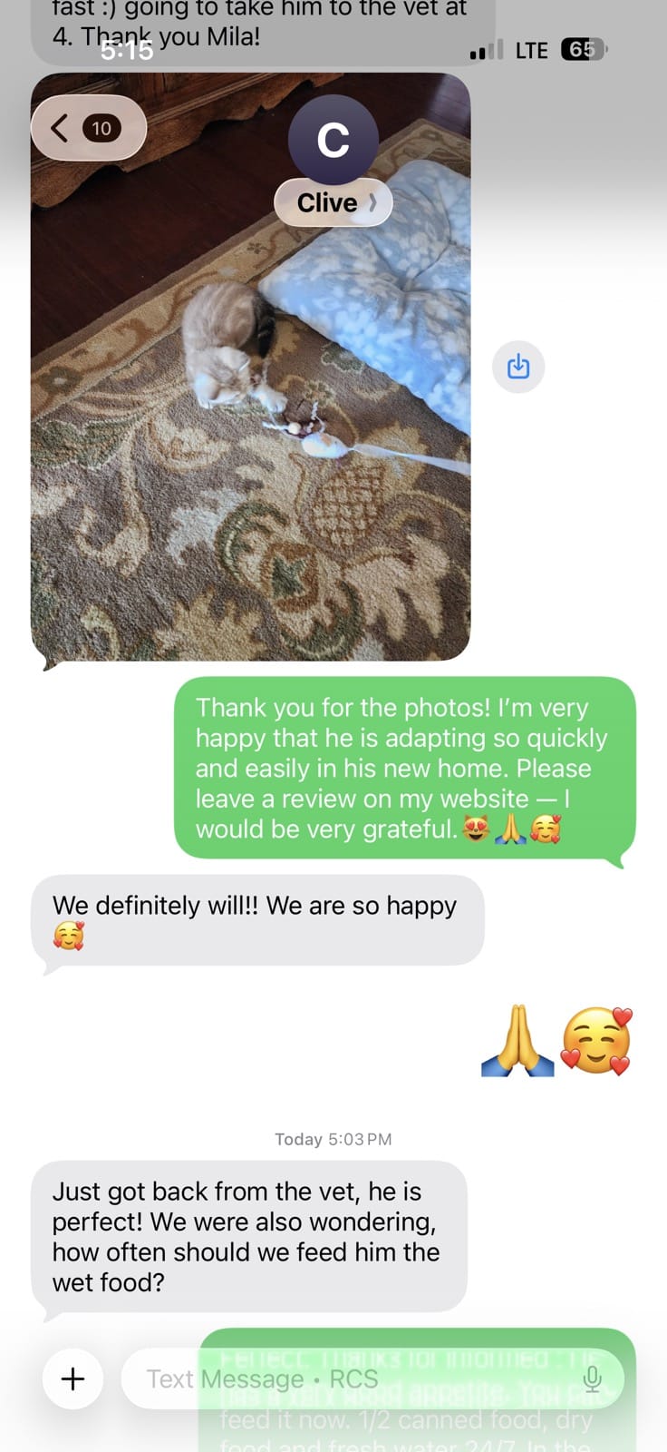 Kitty Palace Cattery - British and Scottish Kittens. Customer reviews. Clive
