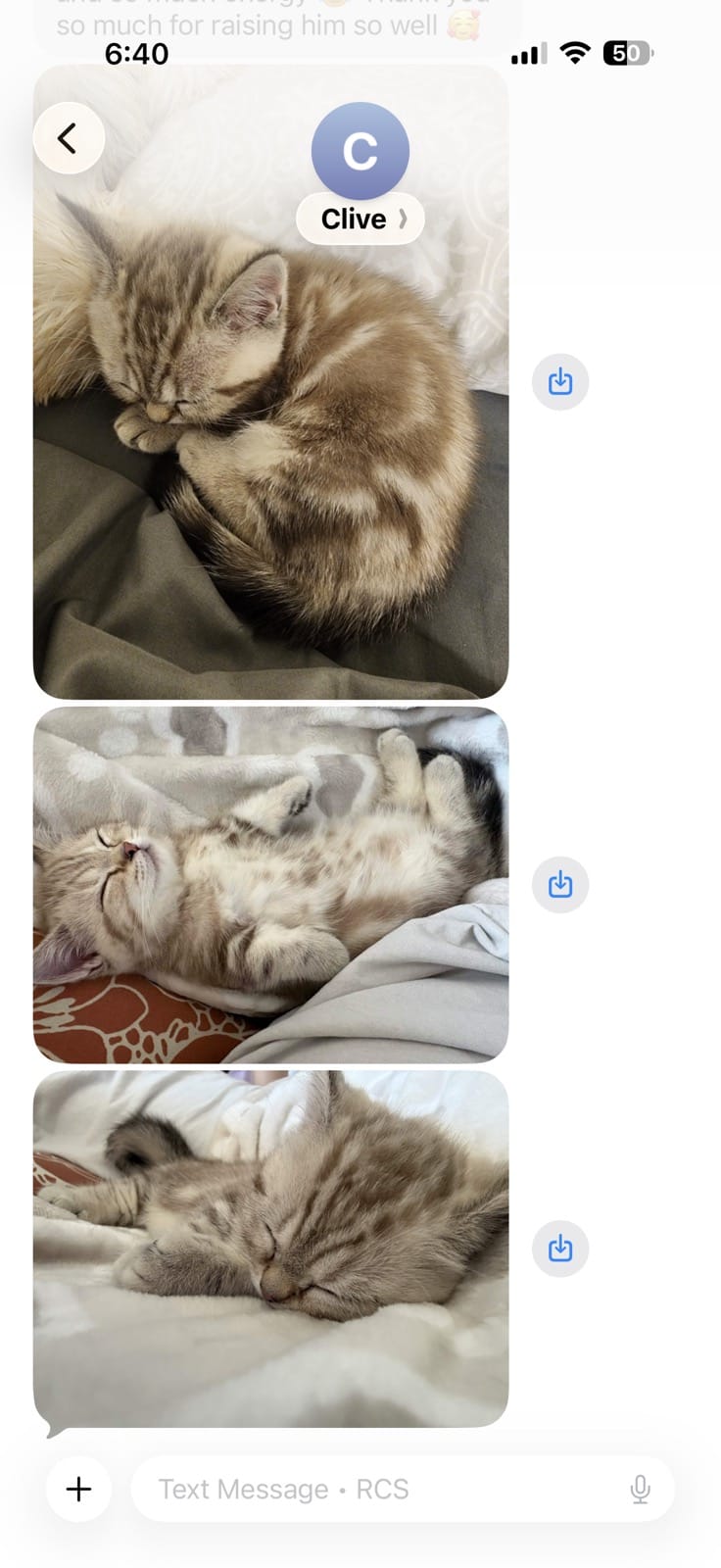 Kitty Palace Cattery - British and Scottish Kittens. Customer reviews. Clive