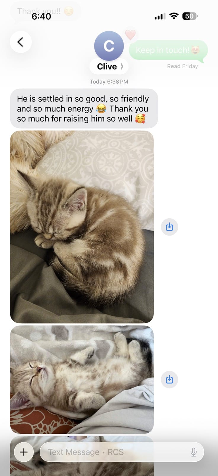 Kitty Palace Cattery - British and Scottish Kittens. Customer reviews. Clive