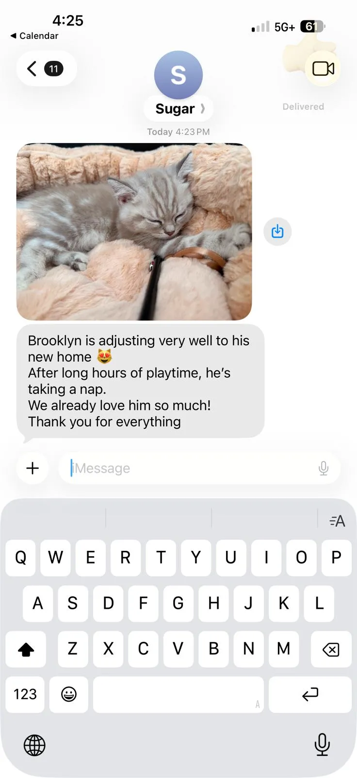 Message about Brooklyn adjusting well to his new home, with a photo of him napping