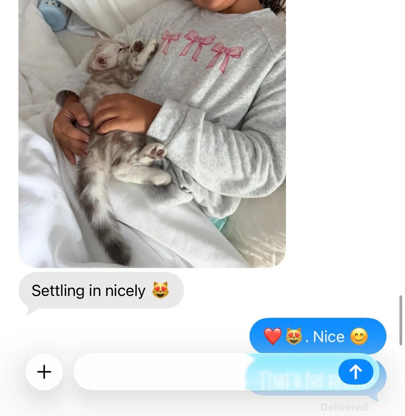 Message from Vanilla's family with a photo of the kitten asleep, captioned “Settling in nicely”