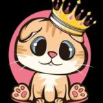 Kitty Palace Cattery